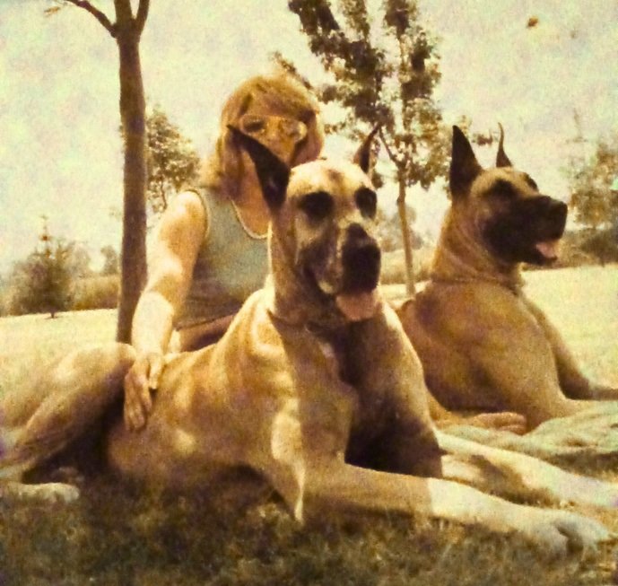 a91v31a9u 1sivi1a 91g